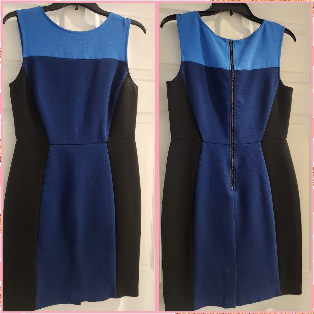 Womens Loft Dress